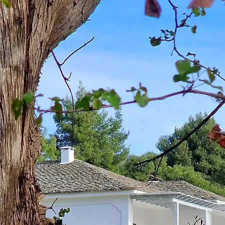 아파트호텔 Lithanemon