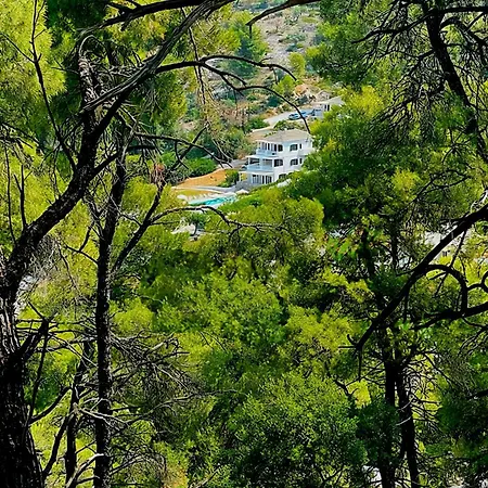 Lithanemon מלון דירות 4*