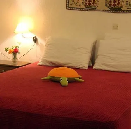 Lithanemon מלון דירות Agnontas