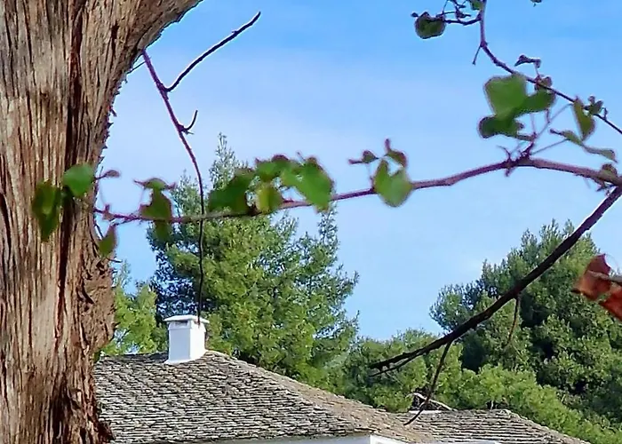 Aparthotel Lithanemon